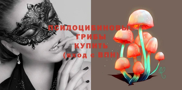 spice Абинск